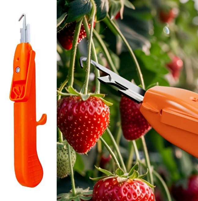 도라스 다용도 원예 전지 절단 가위 가지 치기, 1개