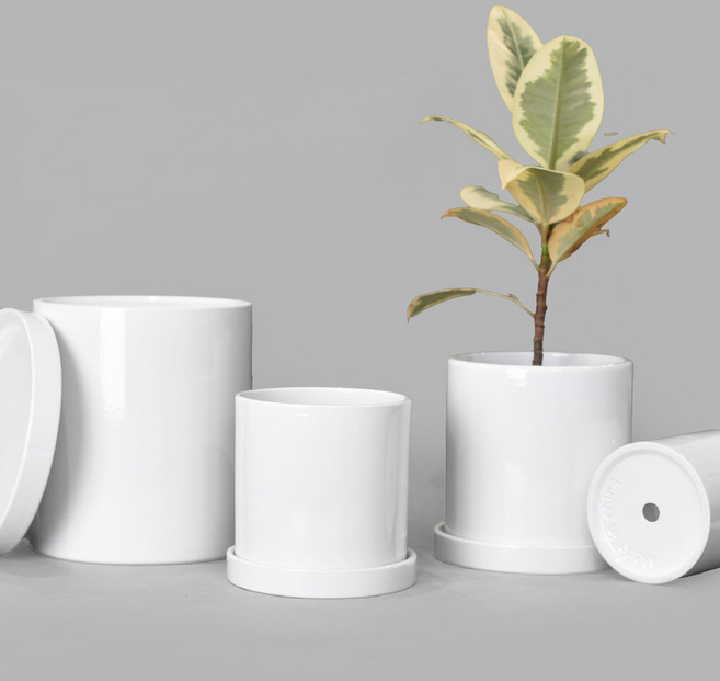마이플랜트 라인 유광 세라믹 화분, 화이트 / 11호, 1개