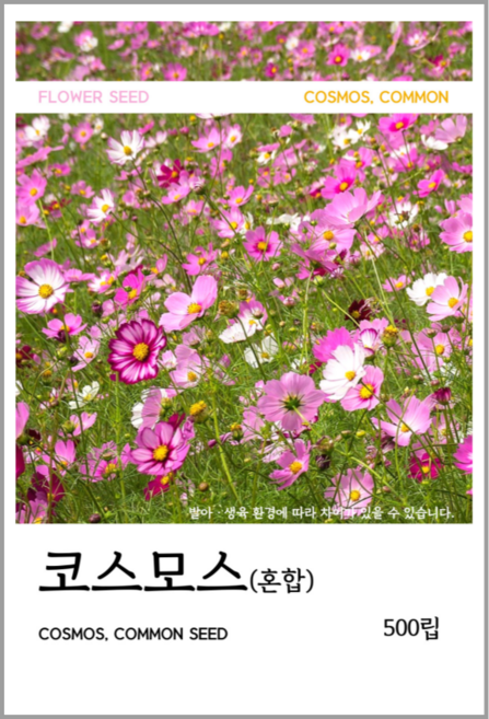 새싹바라기 코스모스(혼합) 씨앗 500립, 1개