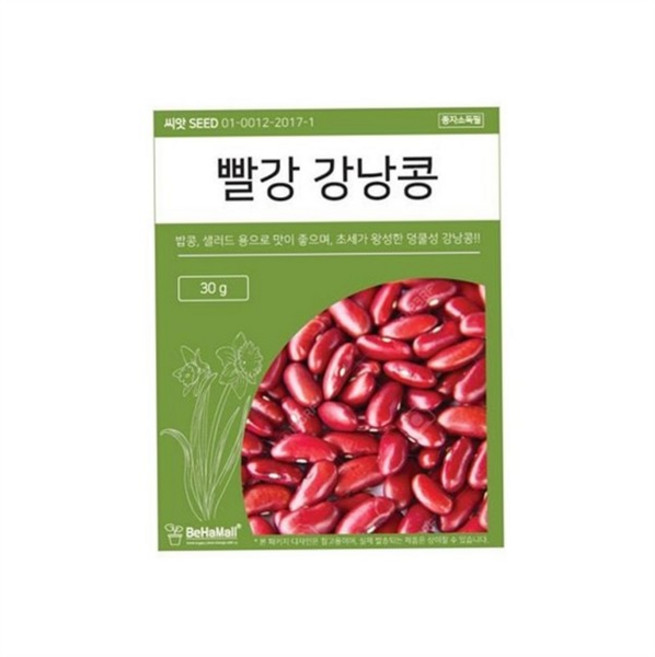 강낭콩 씨앗 초보자용 가정용 키우기 강낭콩 텃밭 씨앗 콩채소 재배 화분용