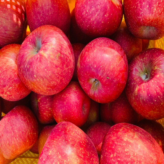 밀양 얼음골 꿀 사과 못난이 부사 껍질째먹는 5kg 10kg, 15개(중상) 정품, 1개