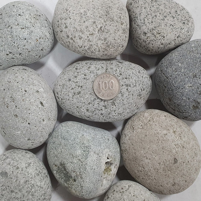 에그스톤 3kg 대 애완돌 반려돌 돌맹이 자갈, 1개