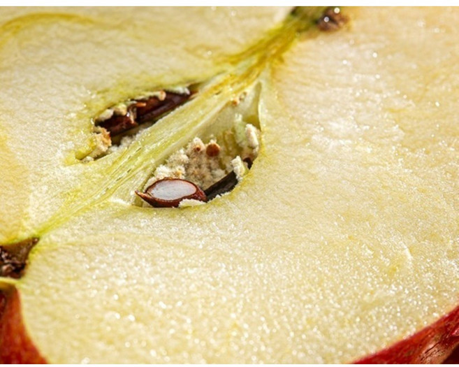 감홍사과처럼 달콤한 미시마 부사 사과 프리미엄 초 고당도 단단한, 1박스, 5kg