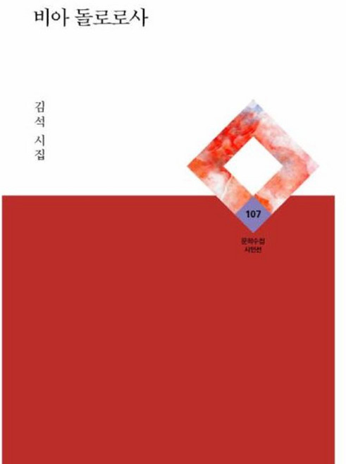 비아 돌로로사, 김석, 문학수첩