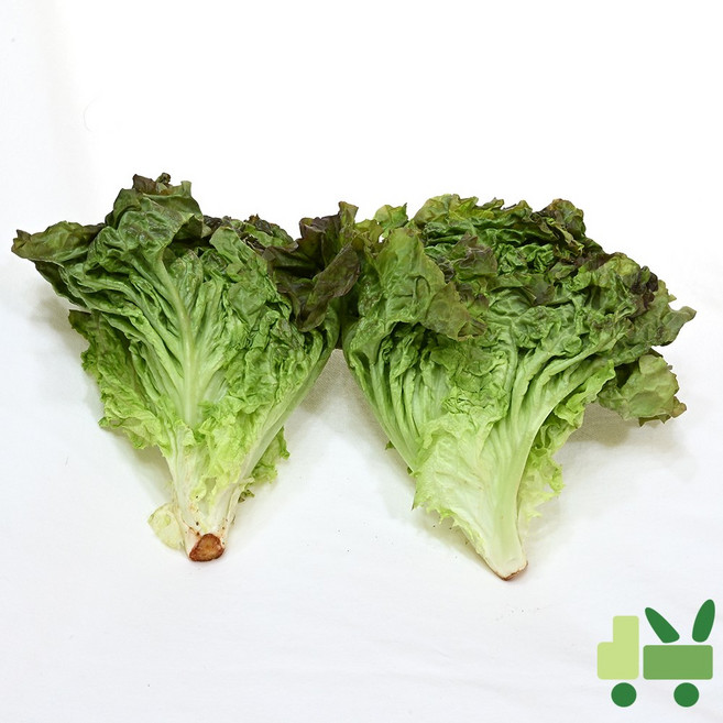 사라상회 적포기 4Kg, 1박스