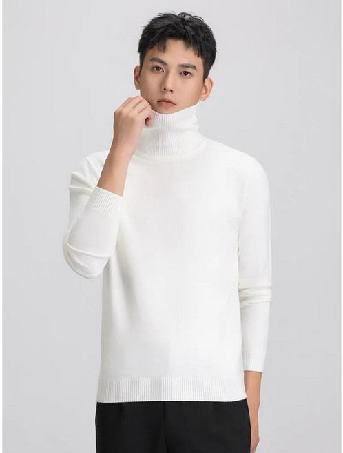 스타일닥터 남성 솔리드 스웨터 목폴라 캐주얼 니트