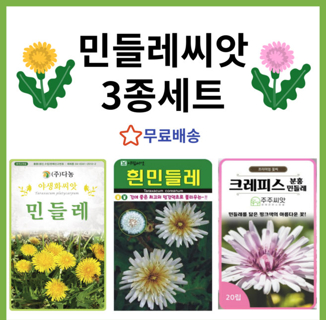 민들레 씨앗 3종 세트 종자 씨 노랑 하양 분홍 / 노란 하얀 핑크 크레피스 흰 민들레 씨, 1개
