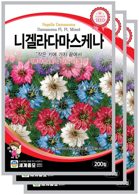 니겔라 씨앗 200립 다마스케나 꽃씨앗 세계종묘 모칸도, 3개