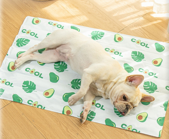 강아지 고양이 반려동물 애견 아이스 쿨링 젤매트 neo233, 1개