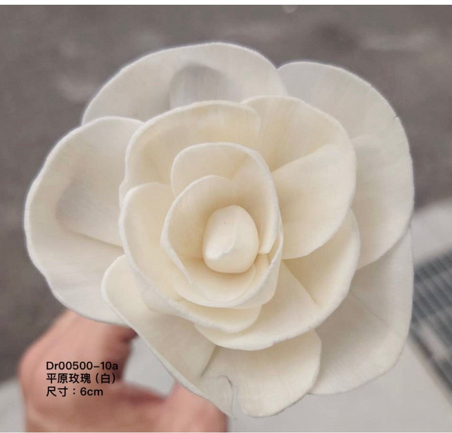 進口索拉玫瑰花 (6CM) 乾燥花 永生花 花藝手作, 白色