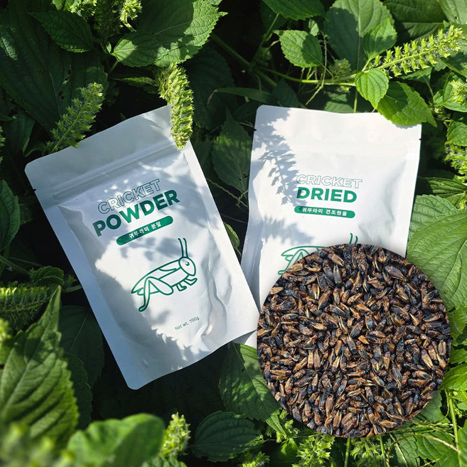 [엔토모] 건조 귀뚜라미 귀뚜라미 분말 / 고슴도치 거북이 앵무새 햄스터 닭 도마뱀 간식, 100g, 1개, 귀뚜라미 분말(100g)