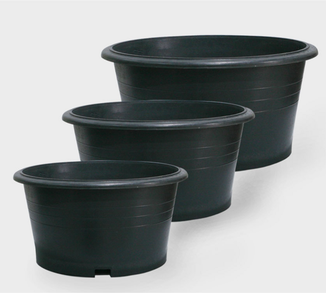 라이프 원형화분 500 600 700 블루베리화분