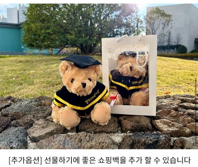 학사모곰돌이 학사모 곰인형 졸업선물 졸업 수료 어린이집 유치원 학교단체 졸업선물, 1개, 학사모곰돌이인형, 28cm