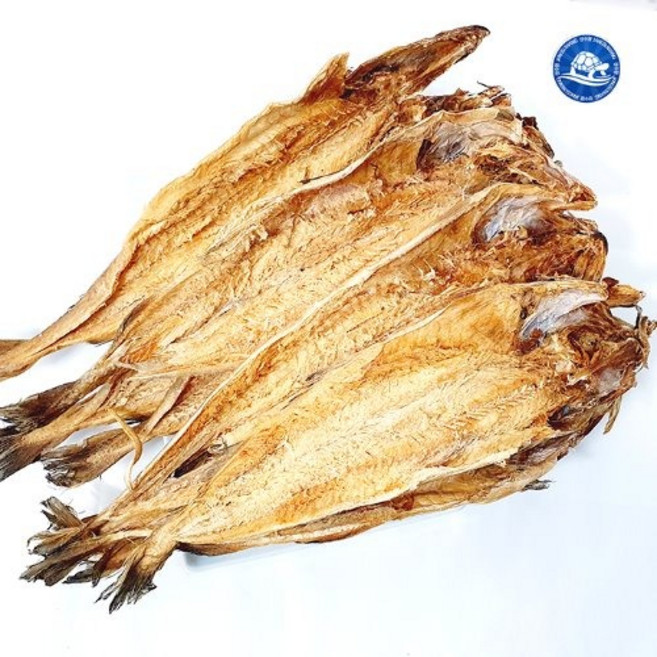 추억의 노가리 왕노가리포 10마리, 1개, 대자(30cm내외)