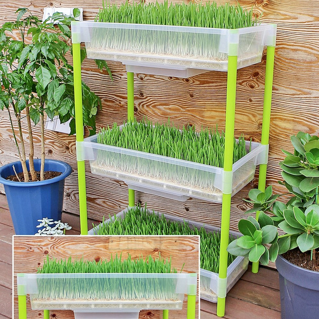 별도표기 베란다 텃밭 이동식 2단 3단 텃밭화분 상추키우기 옥상 마당 테라스 채소 새싹보리 화분