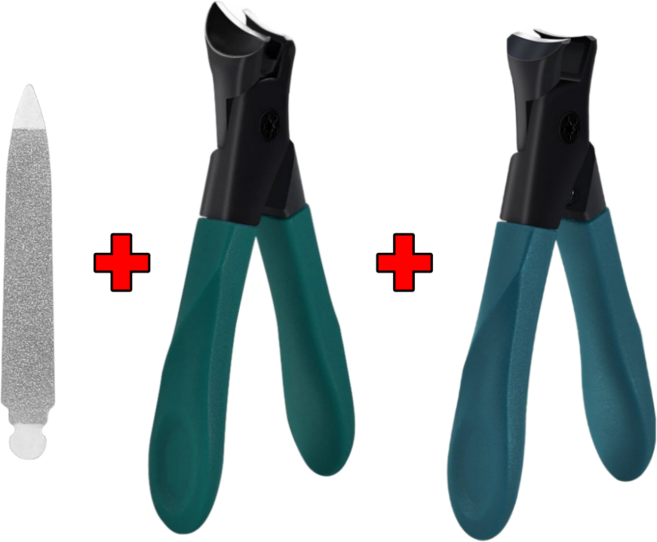 클린웰스 사선 두꺼운 발톱깎이 일자 손톱깎이 세트 내성 발톱 손톱 깍기, 1세트, 그린