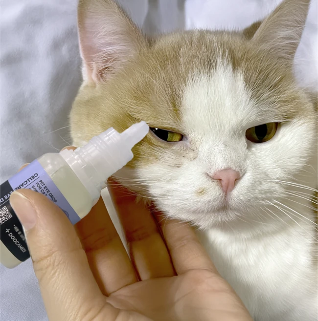 두카메디 셀케어 고양이 전용 인공눈물 아이드롭 고양이 눈곱 이물질 보습 충전 데일리 케어, 1개, 10ml - 쿠팡