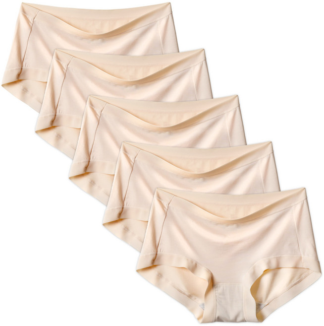 엘라운지 고탄력 60수 모달 노라인팬티 5P