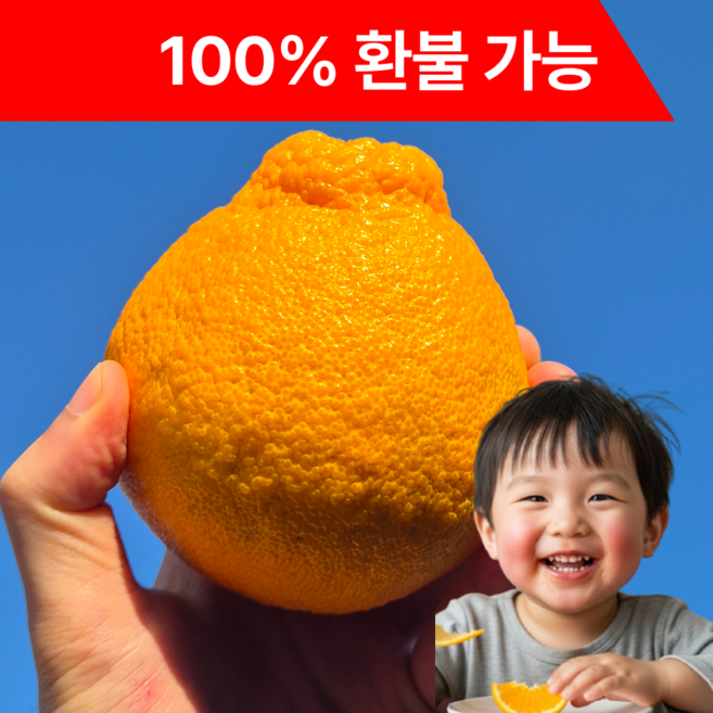 [환불보장] 제주 한라봉 농장직송 초특가, 1박스, 10kg (중과)
