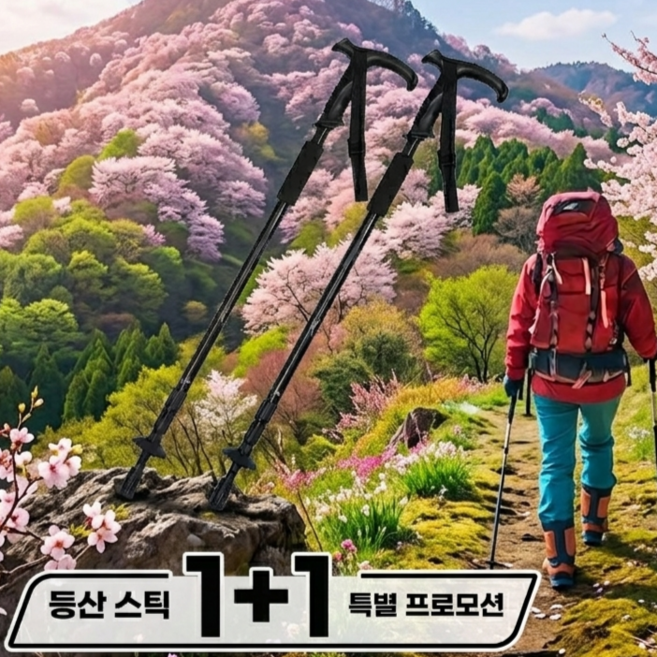 리브포스 충격흡수 접이식 초경량 손잡이편한 등산스틱 2p, 1세트, 블랙