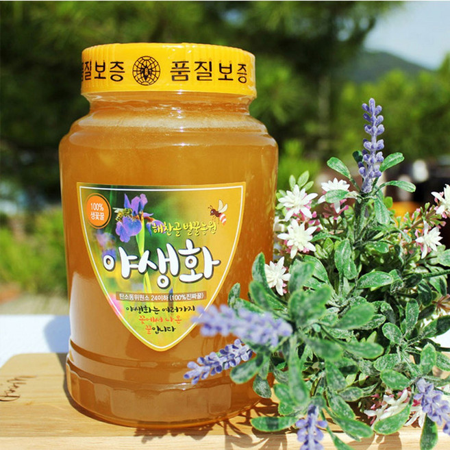 해찬골 농원 100% 국내산 천연 생꽃꿀 야생화 벌꿀 2.4kg (일반병 숙성 생꿀), 1개