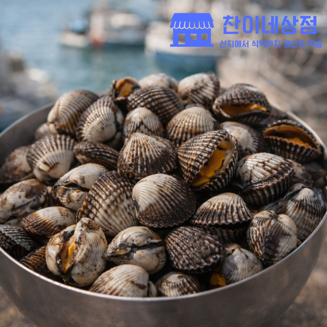 찬이네상점 꼬막 벌교꼬막 당일채취 당일배송 프리미엄, 1개, 특대3kg