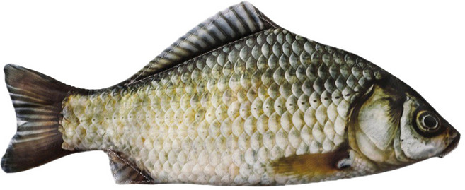 허니잼 리얼 생선 필통 광어 물고기 파우치 펜슬케이스 쓸데없는 웃긴 선물 5type, 1개, 붕어