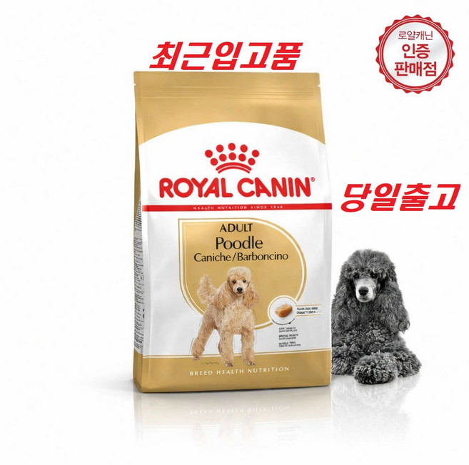 당일출고(최근입고분) 로얄캐닌 푸들 어덜트 1.5kg 건강한피모 치석관리 근육량유지 푸들전용사료 증정품)랜덤간식