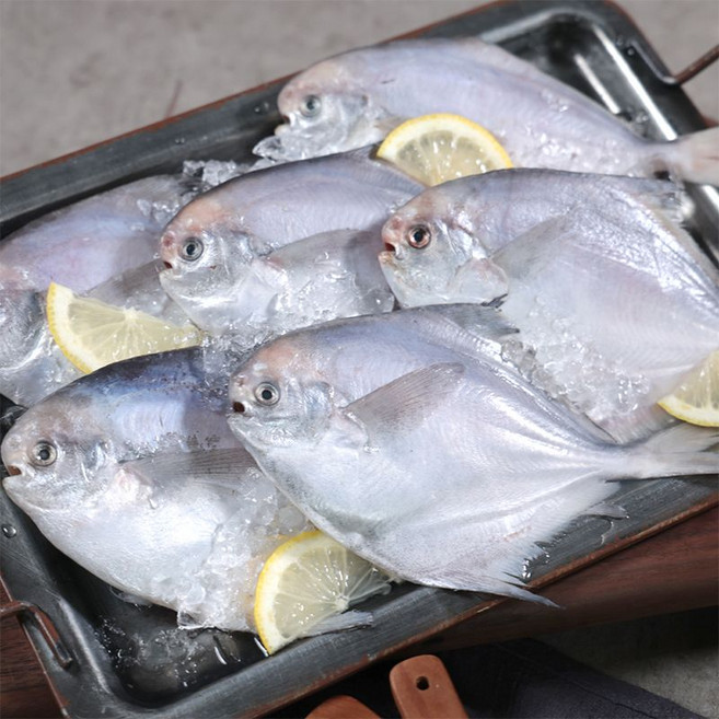 국내산 병어 3미 + 2미, 10개, 2500g