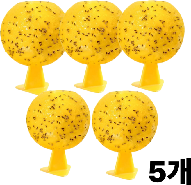 윈터블락 초강력 초파리 트랩 끈끈이 날파리, 1개, 5개입