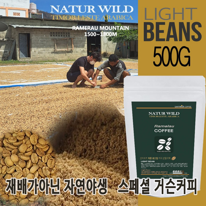 거슨커피 재배가 아닌 자연 그대로의 원두 커피 500g (당일 저온 로스팅), 1개