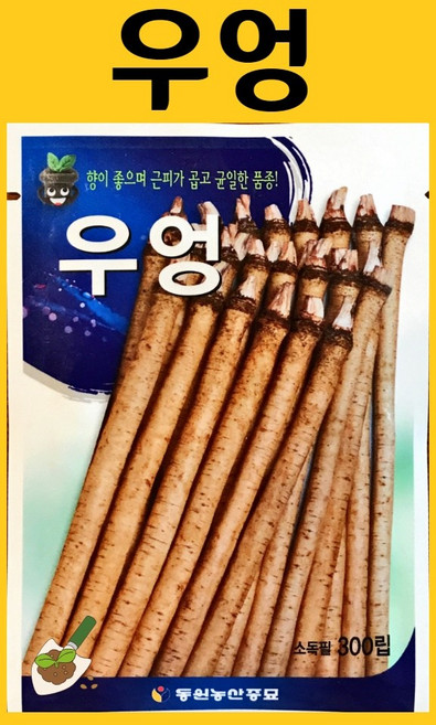 농사친구 우엉 300립 동원 씨 종자 상추 쪽파 고사리 명이나물 산상추 초당옥수수 항암배추 담배 산마늘 아스파라거스 고수, 1개