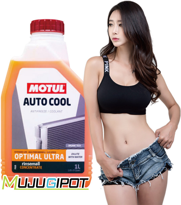 모튤 이누겔 부동액 (모튤 오토쿨 자동차 부동액 성능1.5배 향상) 신상품 - 1L, 1000ml, 1개