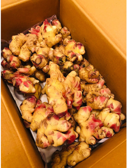 [25년] 햇생강 안동 생강 흙생강, 5kg, 1개