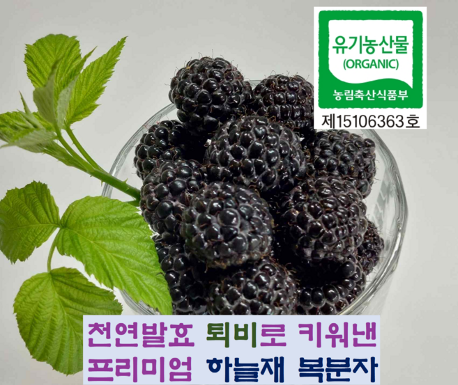 명품 유기농 복분자1kg 26년산 토종복분자 생과급속냉동 하우스재배 하늘재농원 산지직송, 1개