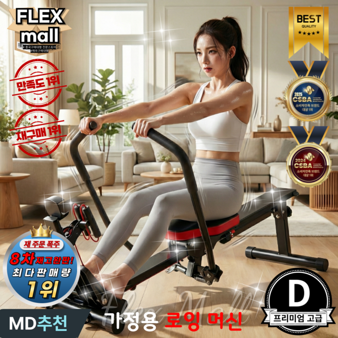 플렉스몰 로잉머신 가정용 홈트 저소음 유산소 노젓기 코어 실내 전신운동, D