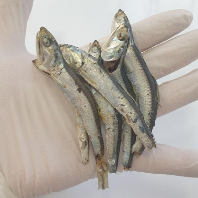 [장가멸치] 남해어부의 2026년 신선한 통영 가성비 상급 가정용 햇 국물 다시멸치1.5kg 육수 조림, 1개, 1.5kg