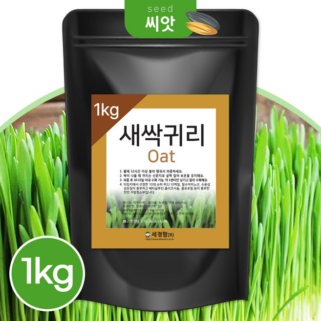 세경팜 영양만점 귀리 새싹 씨앗 1kg 캣글라스 귀리, 4개