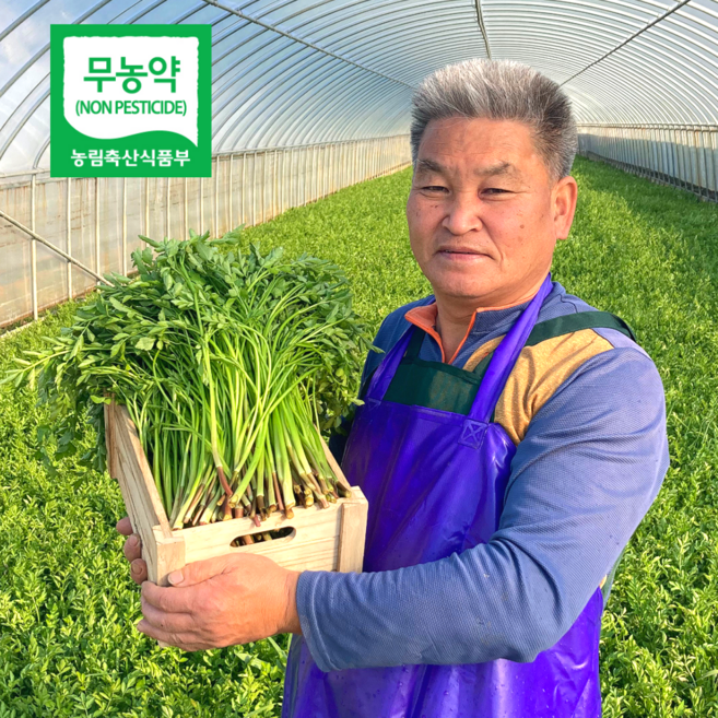 무농약으로 기른 청정 청도미나리, 2kg, 1개