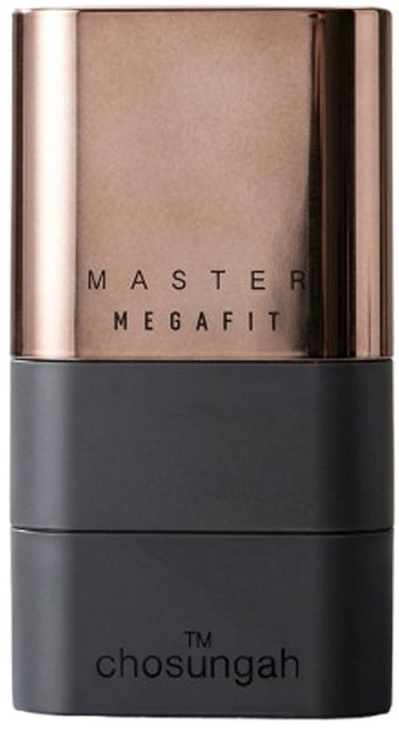 조성아TM 메가 핏 스틱 파운데이션 마스터 SPF50+ PA++++ 16g, 1개, 01 LIGHT BEIGE