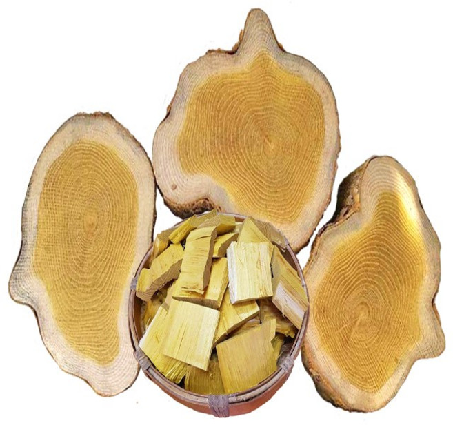 야생 꾸지뽕나무(통나무) 특품 1kg/동의보감촌 지리산 자연산 구지뽕(지리산한방식품), 1개, 1kg