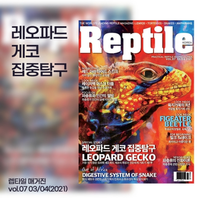 렙타일 매거진 7호
