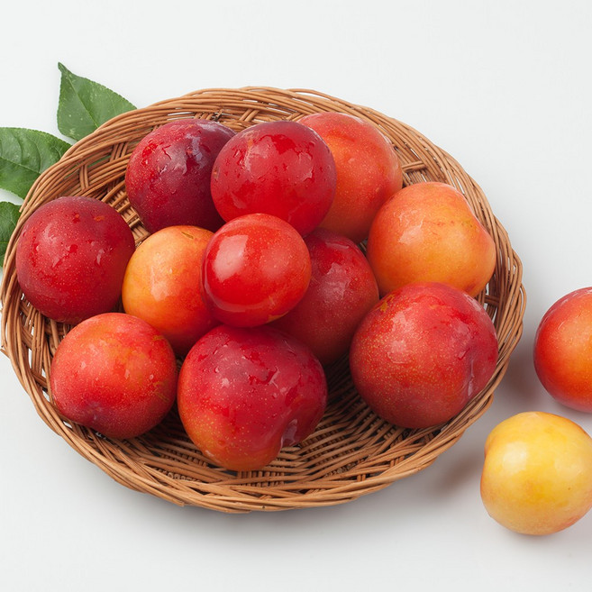 상큼달콤 대석자두 햇자두, 1개, 1kg(대과)