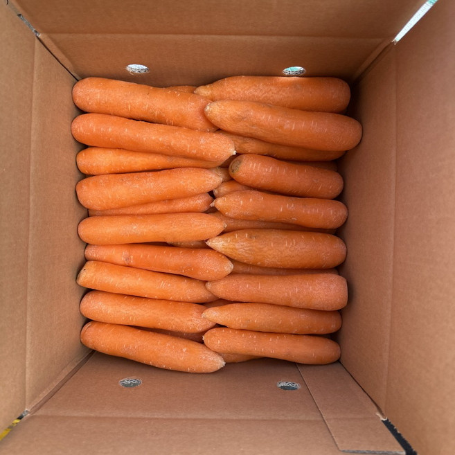 [산지직송] 제주 구좌 흙 당근 세척 당근, 1개, 10kg, 세척 당근 (중)