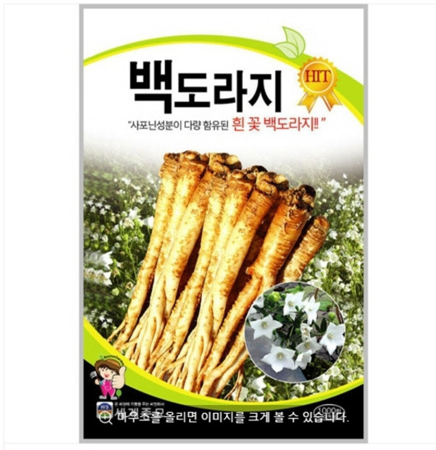 백도라지 1000립 / 토종 도라지 씨앗 종자 텃밭키우기 채소키우기 CR