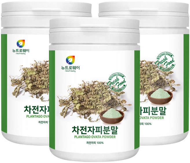 차전자피 식이섬유 차전차피 100% 분말 가루 파우더 질경이씨앗 자천자피 차천자피 차천차피 자전 차피 성인 남성 여성 직장인 주부 부모님 plantago ovata powder, 300g, 3개