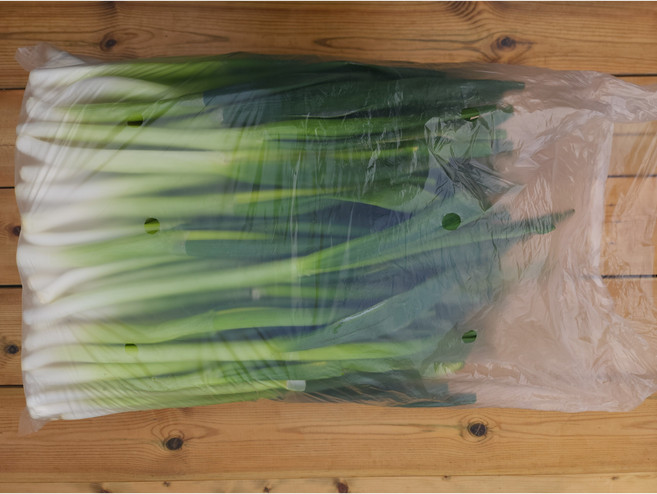 깐대파 외피제거 대용량 업소용 식자재용, 9kg, 1개