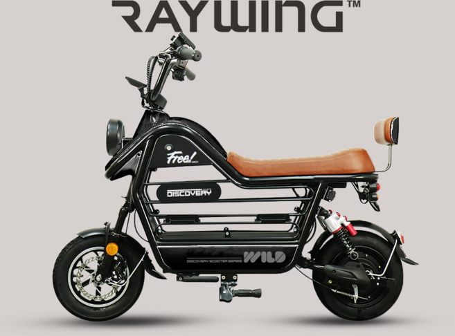 레이윙 디스커버리 와일드 S20 750W 미니 전동스쿠터, 12Ah, 화이트, 화이트