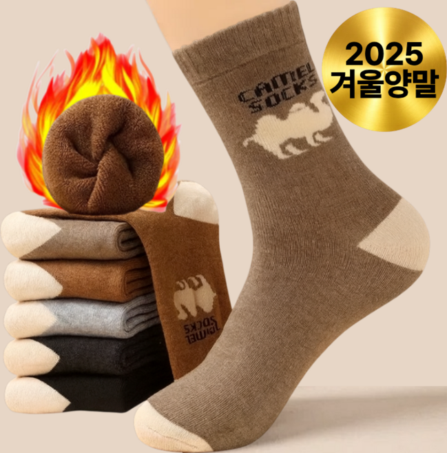 오데트 겨울 몽골 낙타 양말 보온양말 5켤레 세트