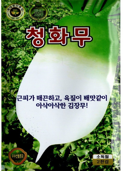 (씨앗) 청화무 2천립 - 2026년 뿌리가 맛있는 무 - 고급 가을 김장 무, 1개